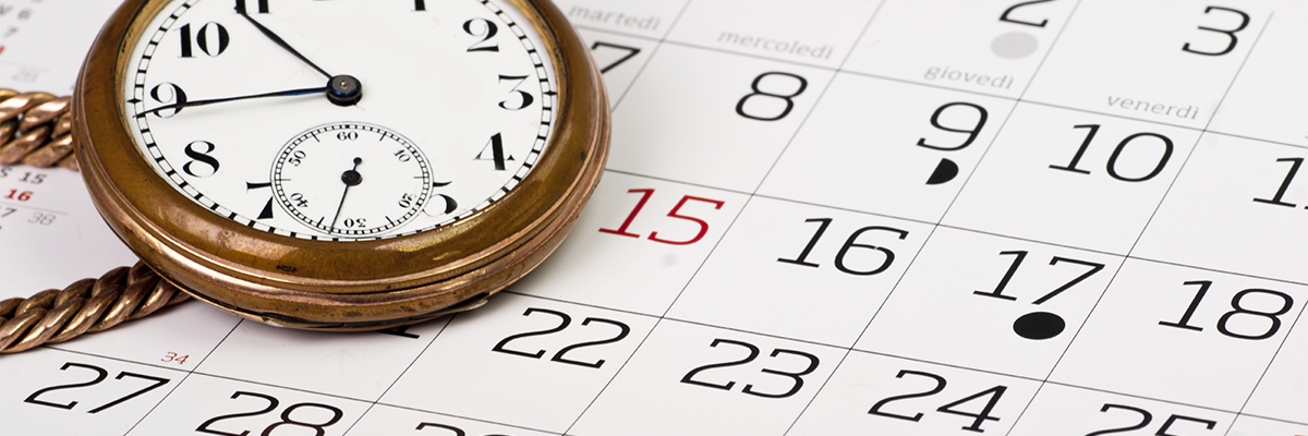  Do your research. When is the best time for a new website launch?